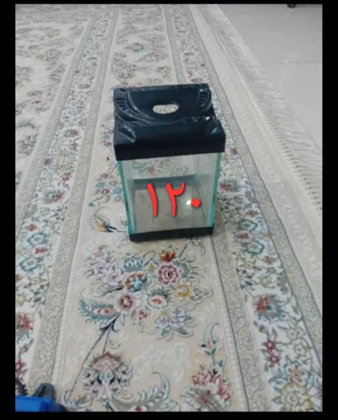 آکواریوم کوچک و بزرگ در بیدستان|ماهی|محمدیه-قزوین, |دیوار