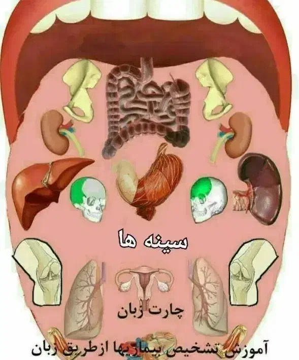 درمانی|خدمات آرایشگری و زیبایی|مشهد, پنجتن|دیوار