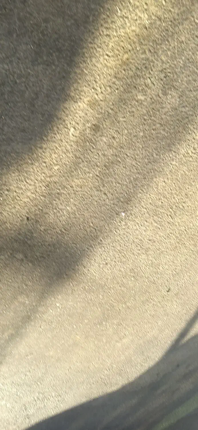 زمین کشاورزی حسین آباد|فروش زمین و ملک کلنگی|حسین آباد, |دیوار