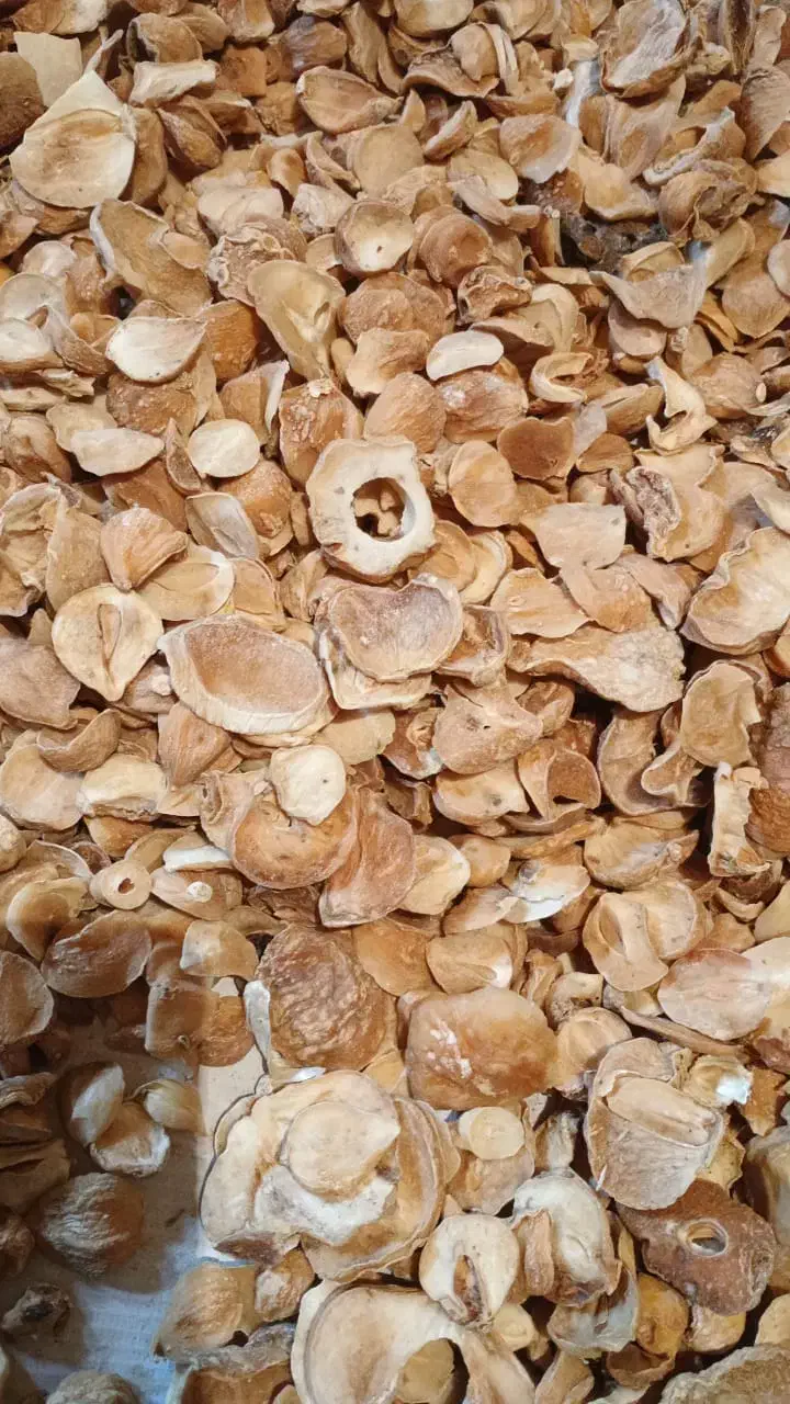 نیازمند موسیر|خدمات باغبانی و درختکاری|تهران, ونک|دیوار