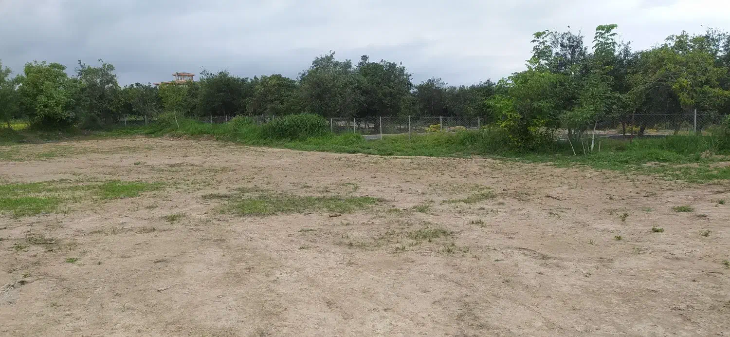 فروش زمین زیر قیمت منطقه|فروش زمین و ملک کلنگی|خرم‌آباد (تنکابن), |دیوار