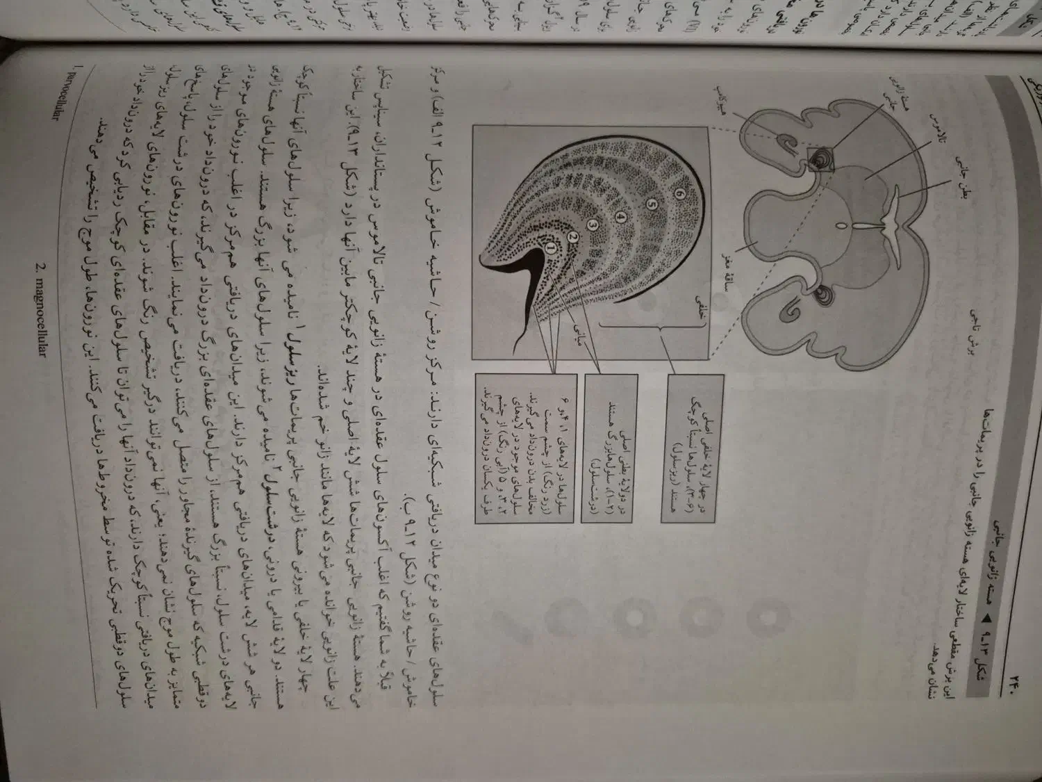 روانشناسی فیزیولوژیکی ترجمه یحیی سیدمحمدی|کتاب و مجله آموزشی|میانه, |دیوار