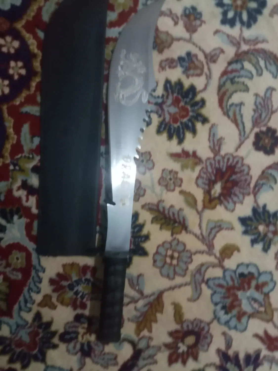 چاقو|کوهنوردی و کمپینگ|اصفهان, رکن الدوله غربی|دیوار