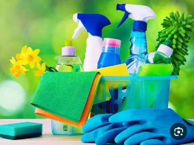 خدماتی و نظافتی منزل ویلاوشرکت|خدمات نظافت|محمدیه-قزوین, |دیوار