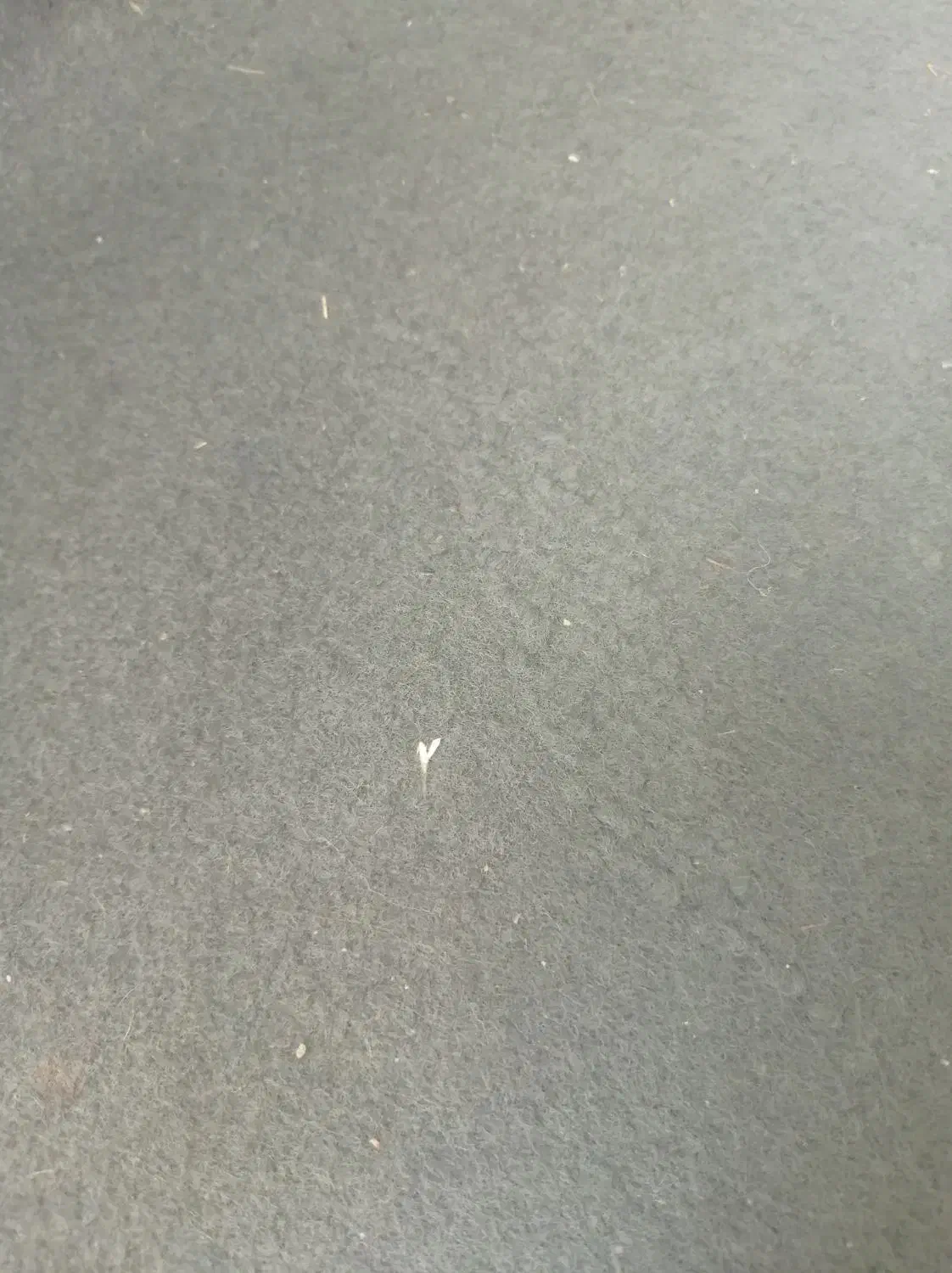 موکت|موکت|گلبهار, شهر جدید گلبهار|دیوار