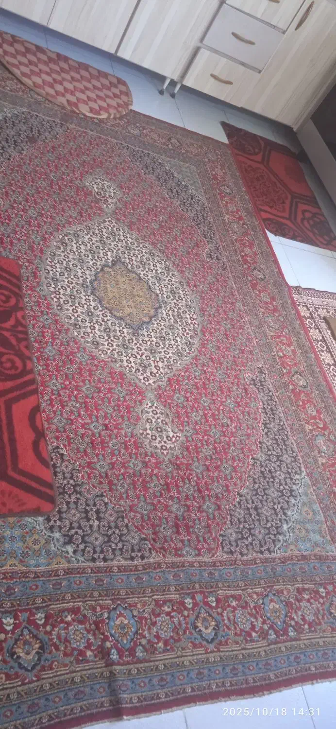 فرش|فرش|زاهدان, |دیوار