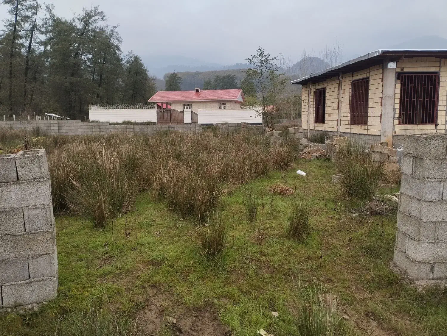 زمین مسکونی|فروش زمین و ملک کلنگی|گوراب زرمیخ, |دیوار