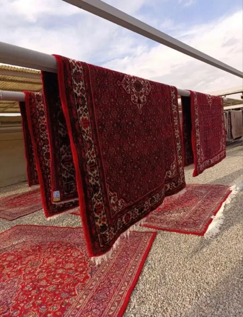 کارخانه قالیشویی ونوس|خدمات نظافت|زنجان, |دیوار