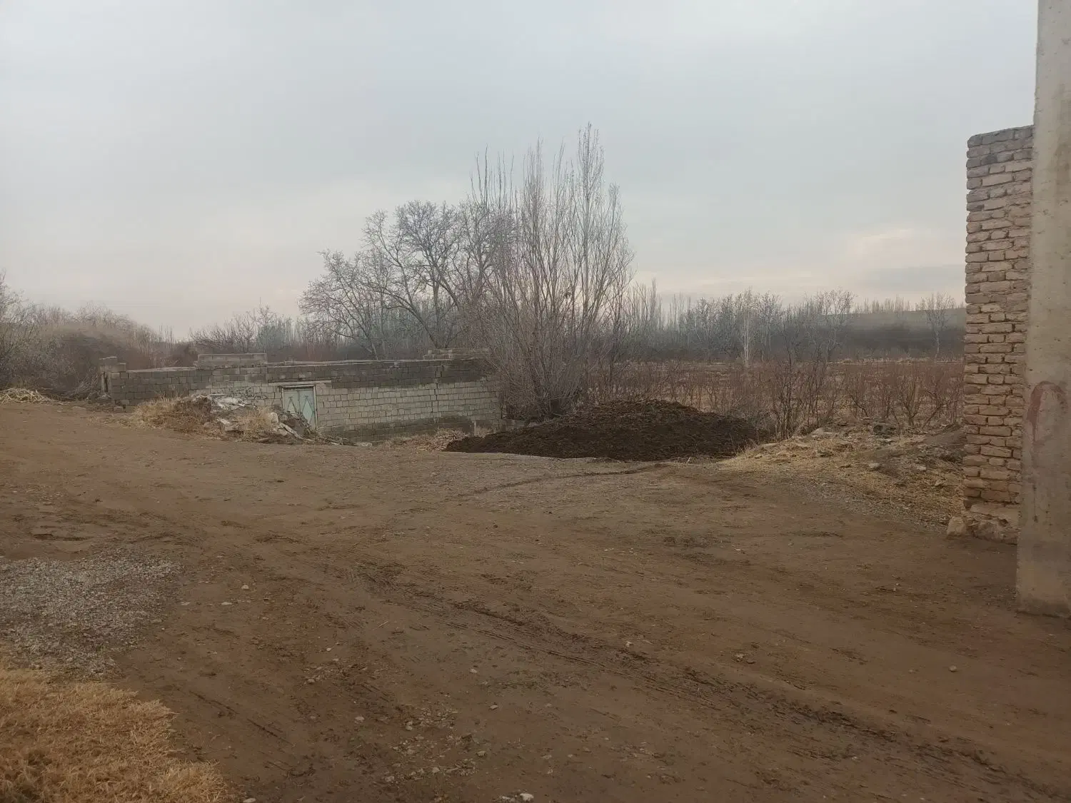زمین|فروش زمین و ملک کلنگی|میاندوآب, |دیوار