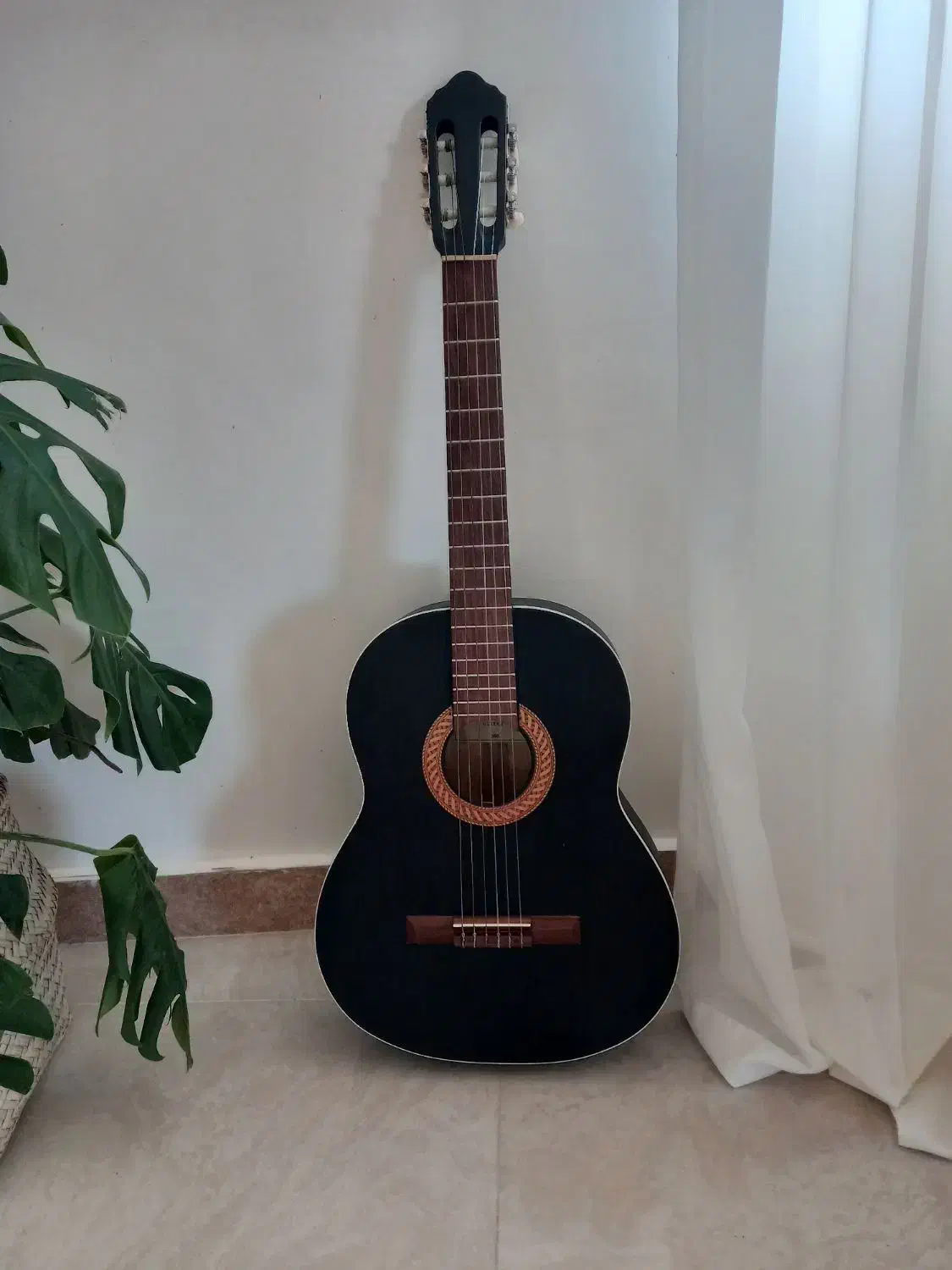 گیتار کلاسیک|گیتار، بیس، امپلیفایر|رشت, شالکو|دیوار