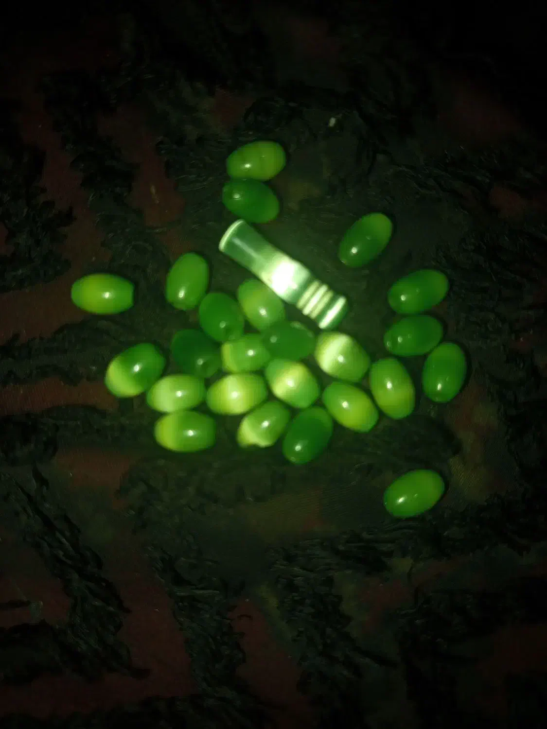 24عدد مهره چشم گربه ای با مهره اصلی تسبیح|جواهرات|یاسوج, |دیوار