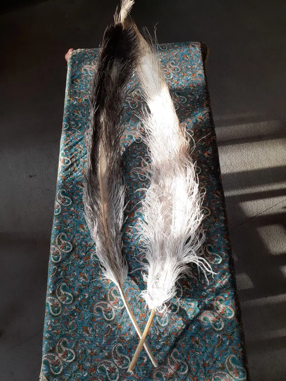 پر طبیعی شترمرغ جهت نظافت سنتور|سازهای سنتی|شیراز, قدوسی شرقی|دیوار