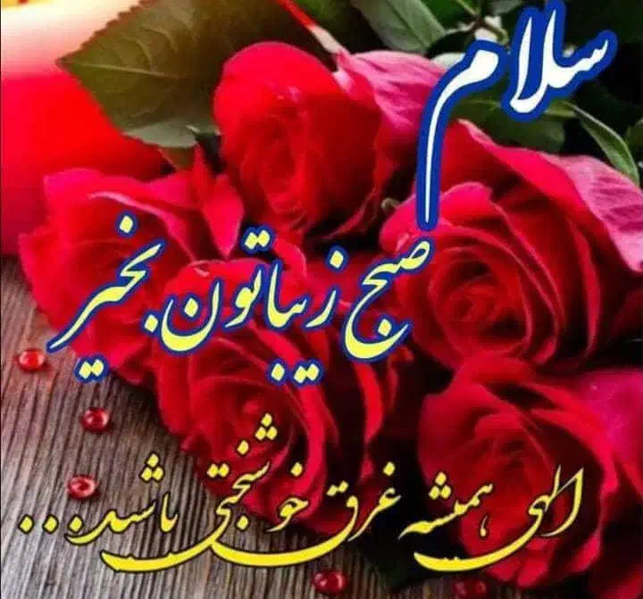 کارت ملی بنام محمد باقر موسوی گم شده|اشیا|ایذه, |دیوار