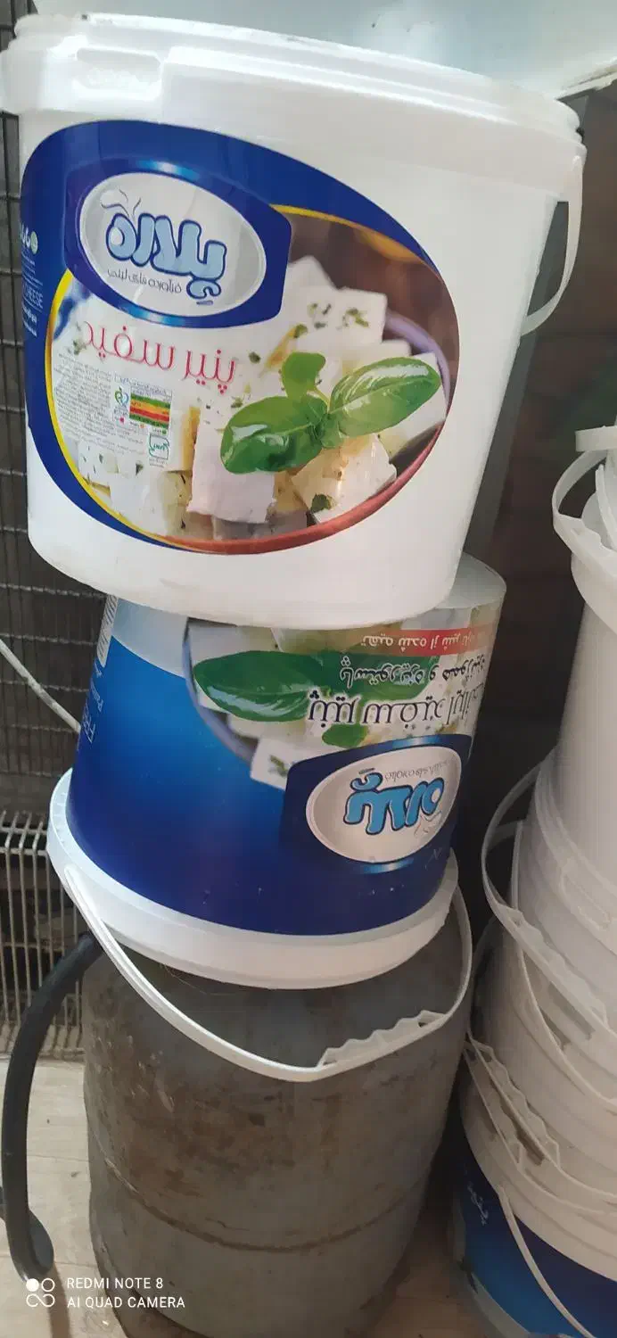 سطل|ظروف نگهدارنده، پلاستیکی، یک‌بارمصرف|زاهدان, |دیوار