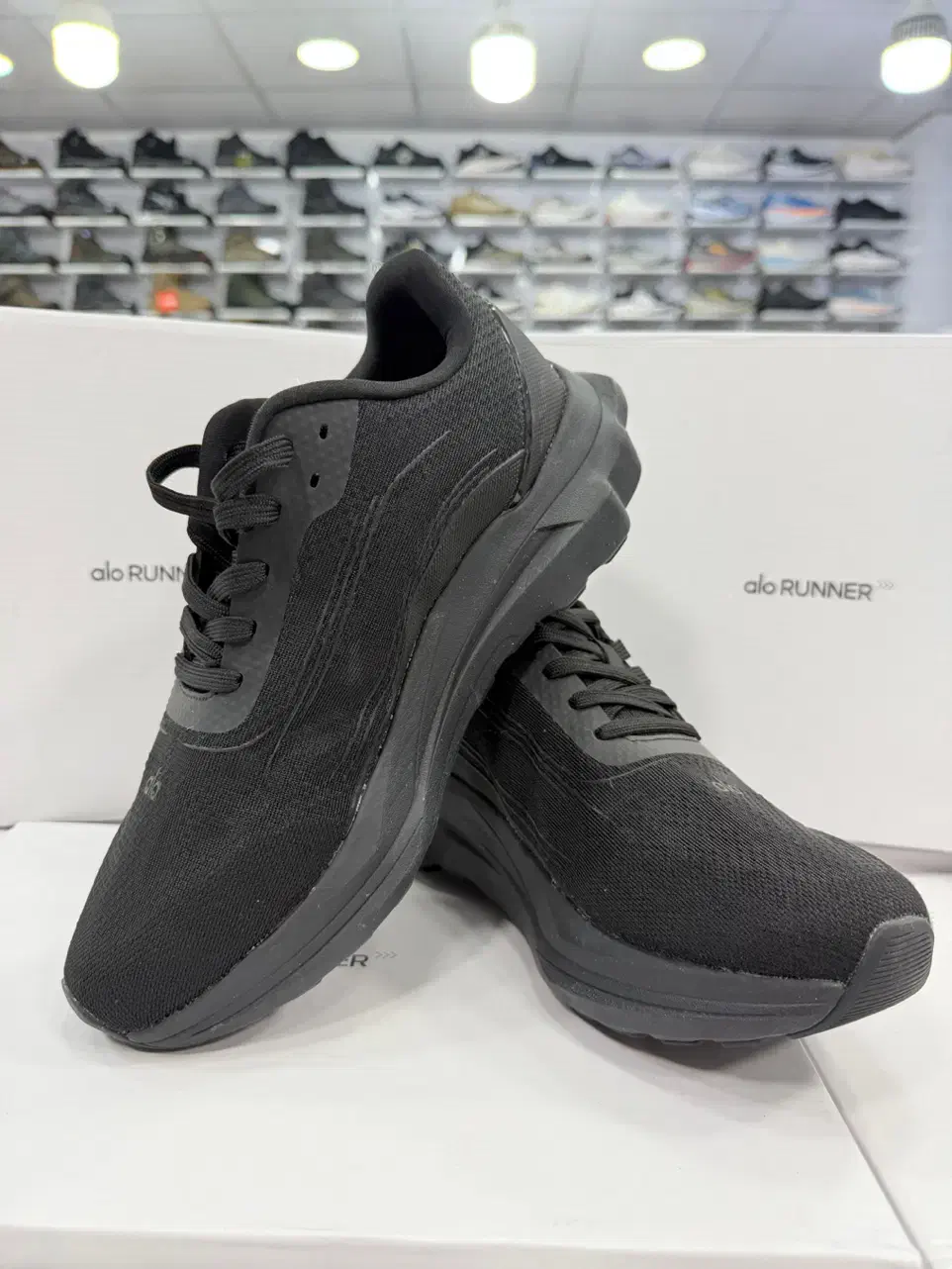 کتونی مستر (alo)|کیف، کفش، کمربند|تهران, سلسبیل شمالی|دیوار