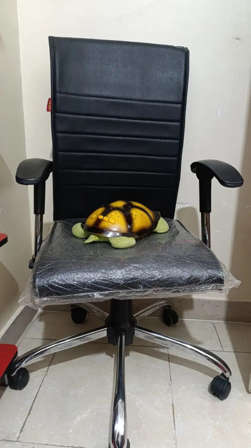 سرویس خواب نوجوان|تخت و سرویس خواب|شهریار, شهریار|دیوار