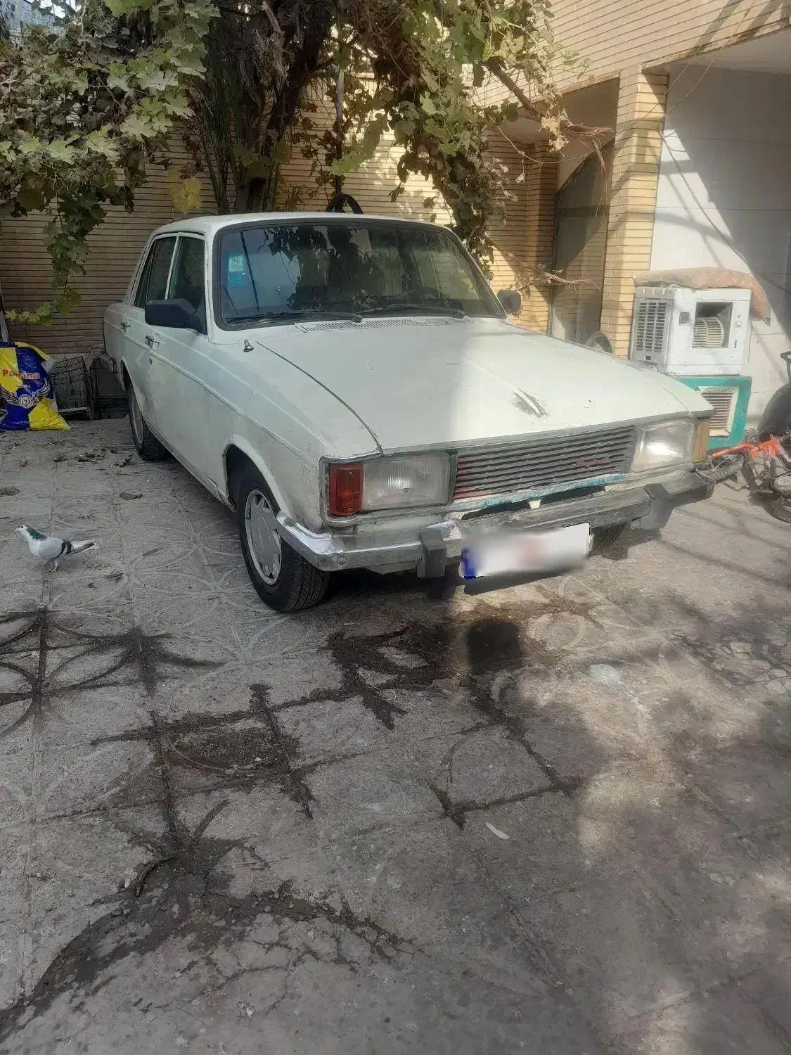 پیکان ۸۱|خودرو سواری و وانت|اصفهان, شاه پسند|دیوار