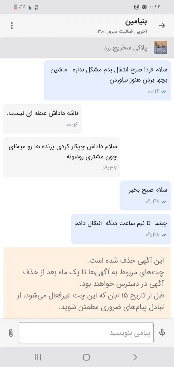 کبوتر یاهو زرد|پرنده|اهواز, ۲۰۰۰واحدی|دیوار