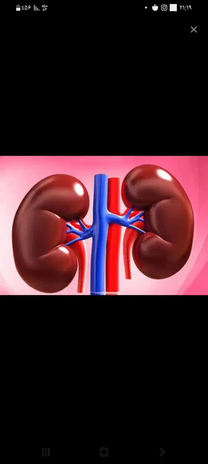 اهدا|فعالیت داوطلبانه|تهران, استاد معین|دیوار