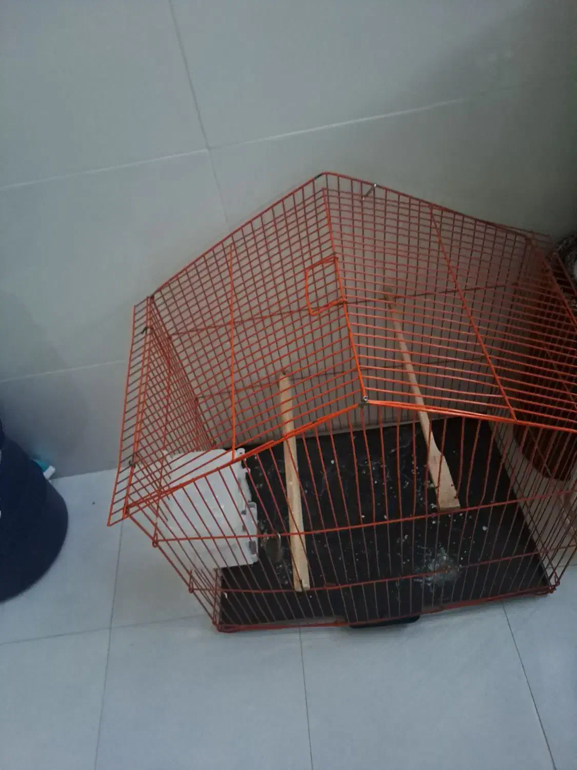 قفس پرنده|لوازم جانبی حیوانات|قرچک, باقرآباد|دیوار