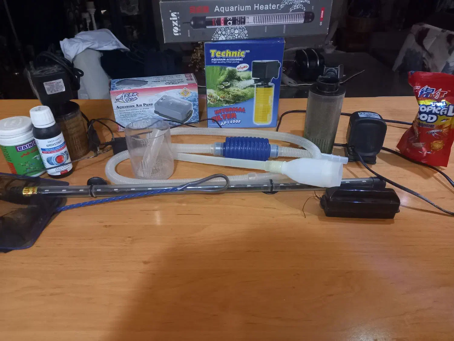 آکواریوم|ماهی|ری, اقدسیه|دیوار