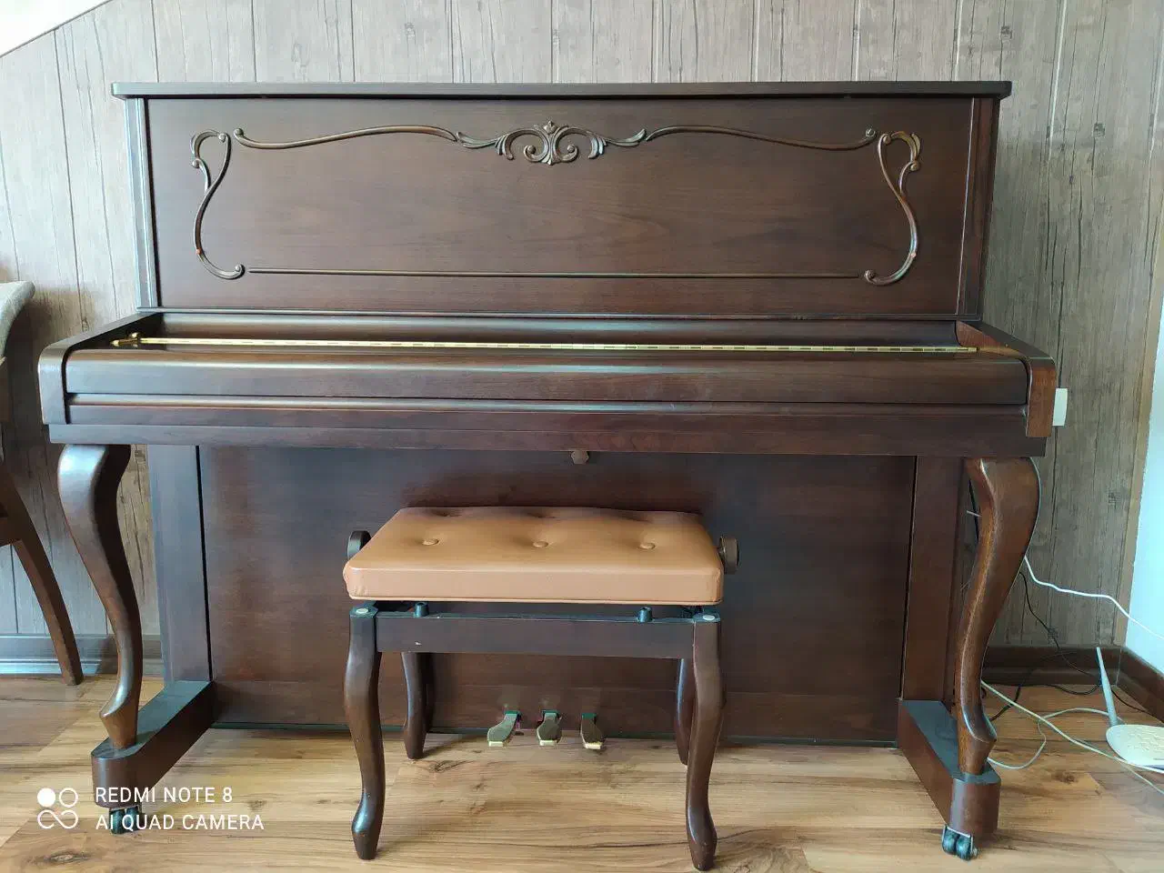 پیانو|پیانو، کیبورد، آکاردئون|شیراز, باغ تخت|دیوار