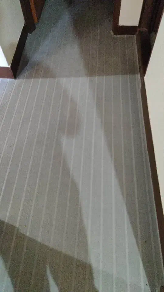 موکت ب متراژ بالا در حد نو|موکت|شاهین‌شهر, طالقانی|دیوار