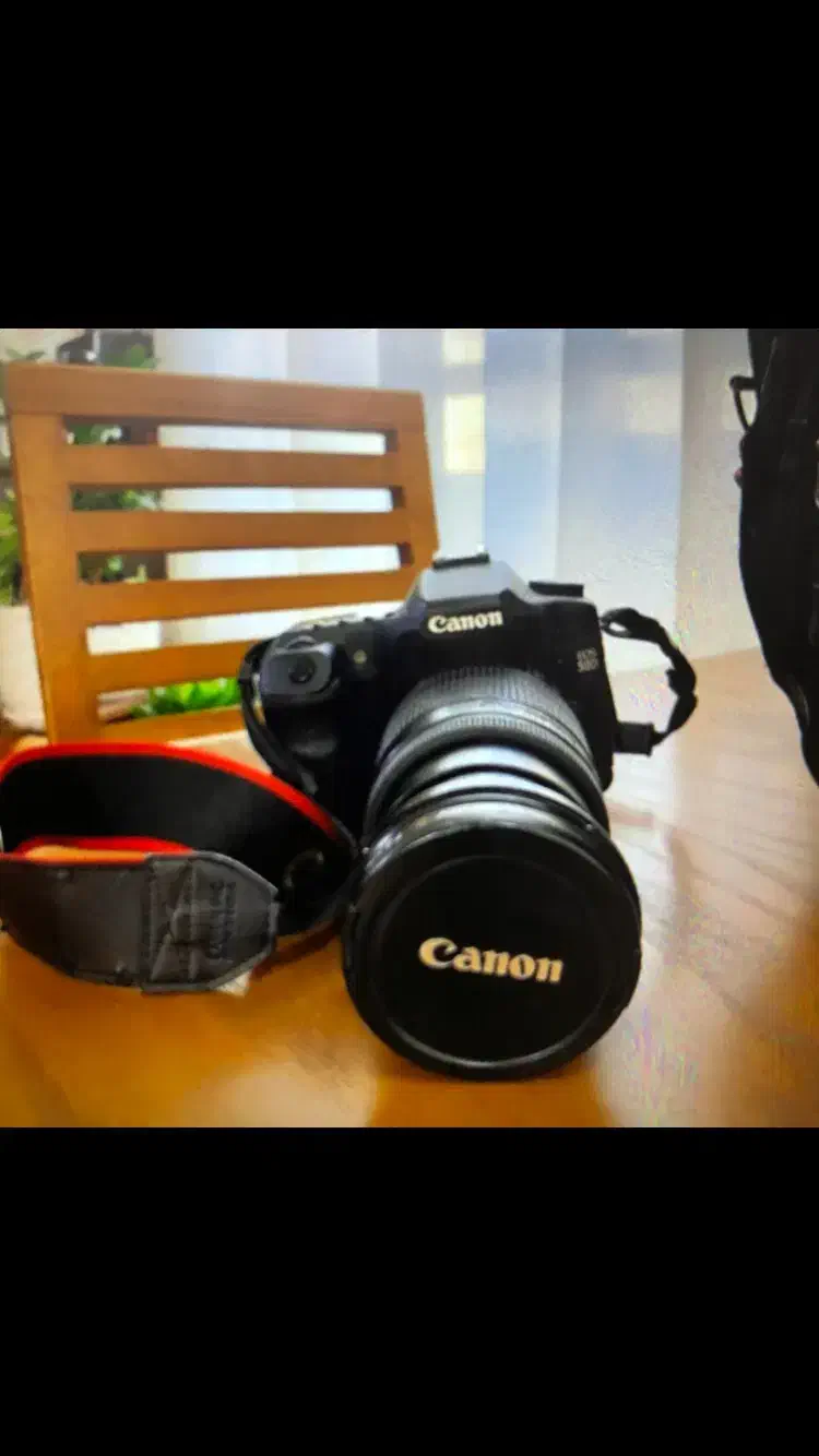 دوربین عکاسی|دوربین عکاسی و فیلم‌برداری|اراک, |دیوار