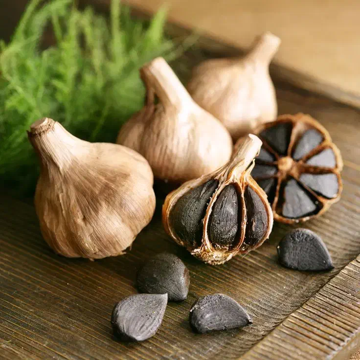 سیر سیاه،اکسیر جوانی و سلامتی|آرایشی، بهداشتی، درمانی|شیراز, حومه شیراز|دیوار
