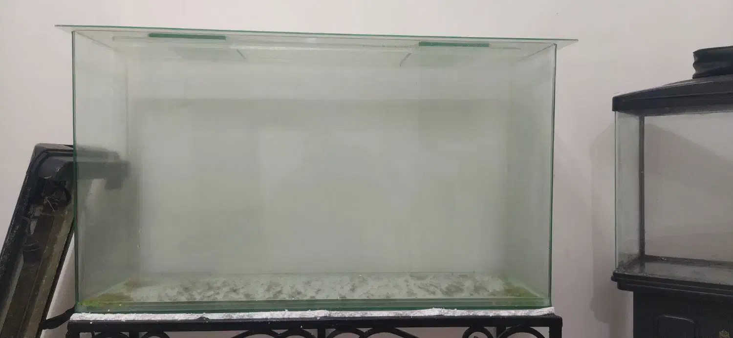 اکواریوم شیشه خم|ماهی|خرمشهر, |دیوار