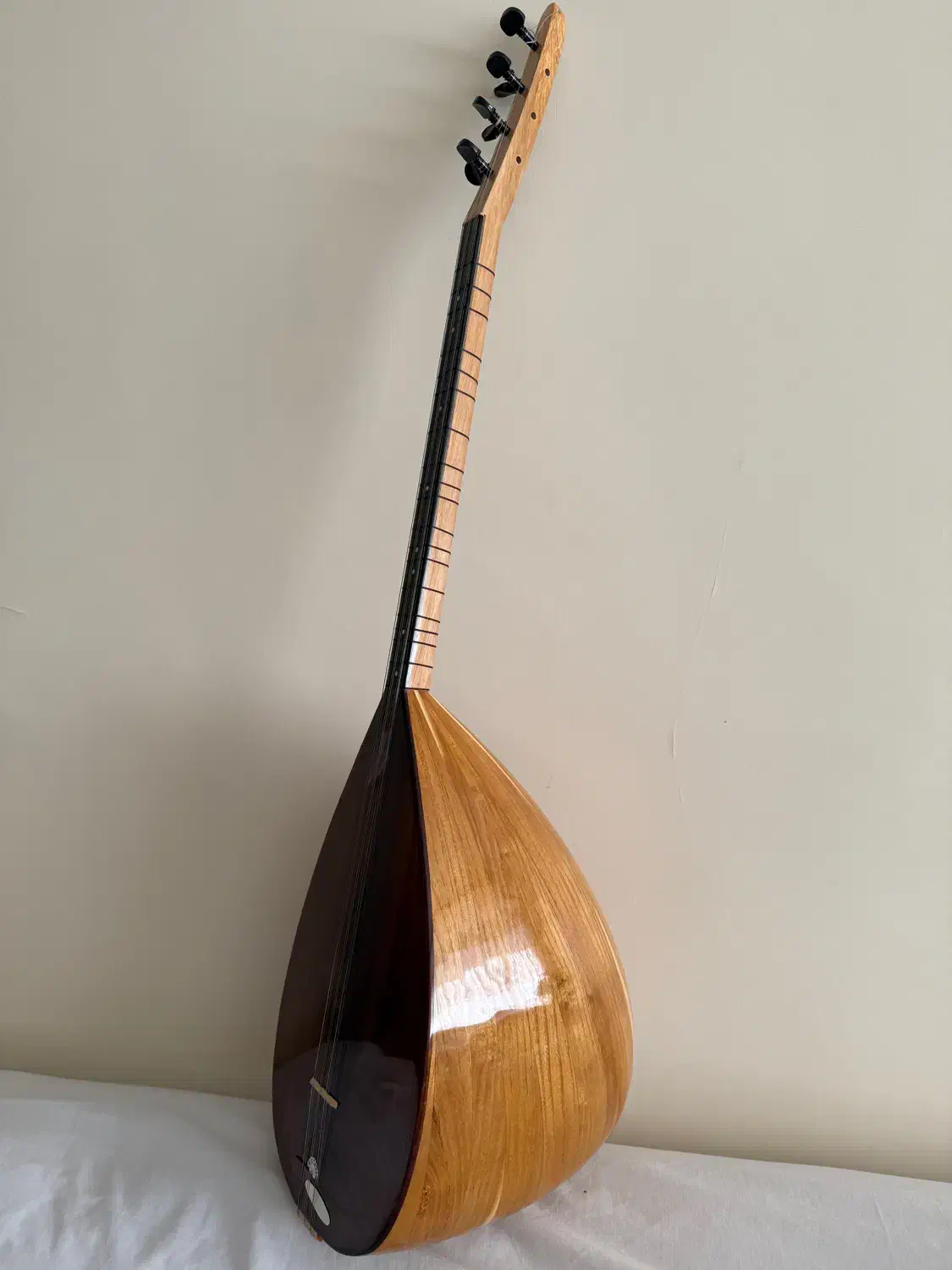 باغلاما حرفه ای هناره دو مهر|سازهای سنتی|تهران, فلسطین (میدان انقلاب)|دیوار