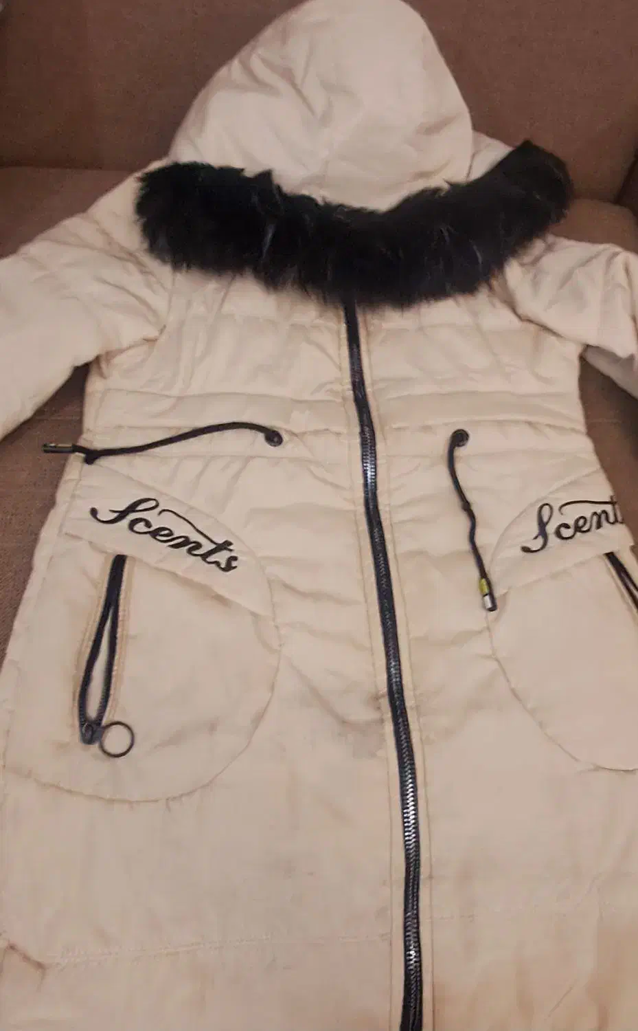 لباس زمستانی و لباس مجلسی|لباس|قم, شهر قائم|دیوار