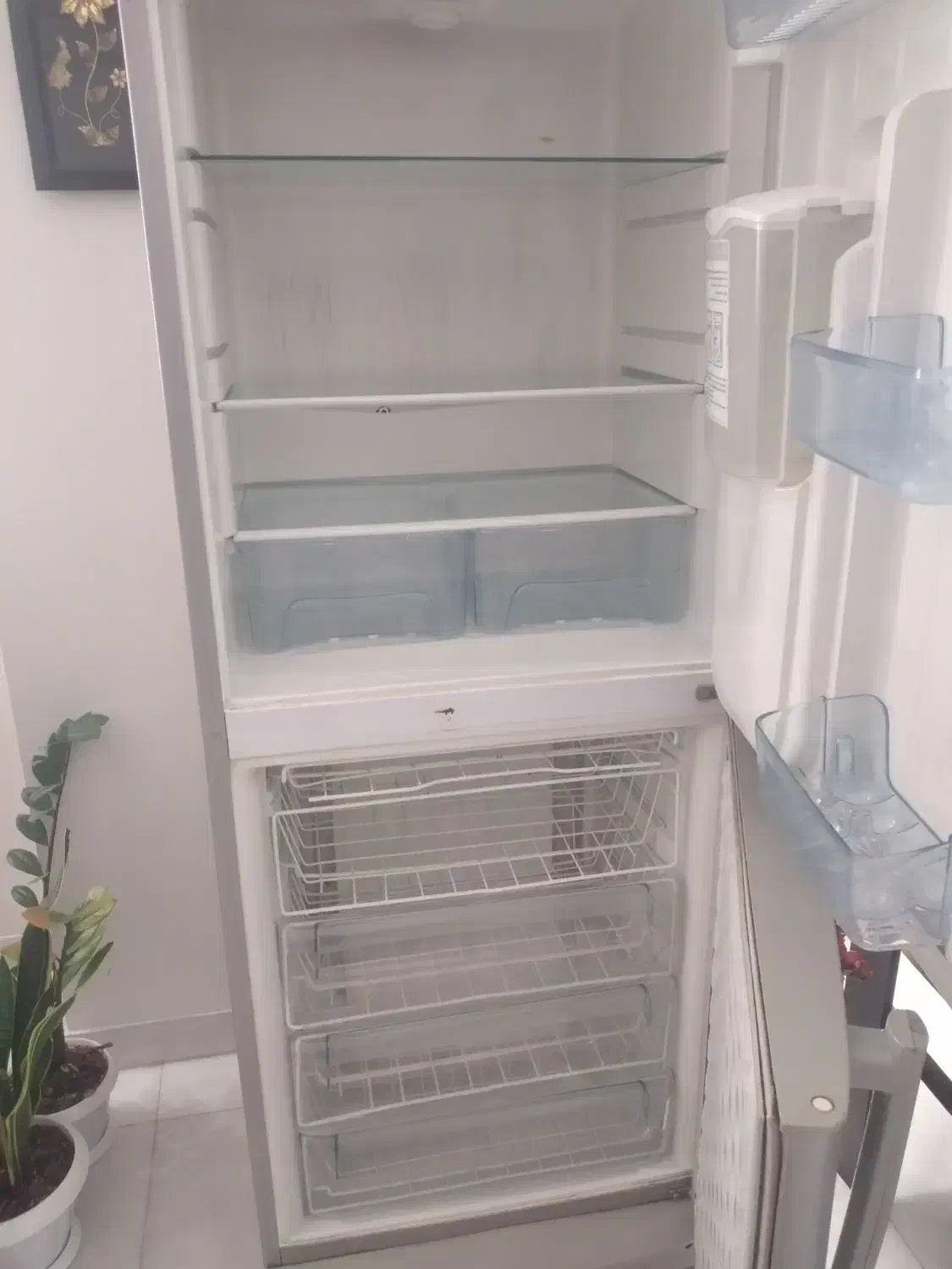 یخچال فریزر سیلوان کاملا سالم نیاز به گاز دارد|یخچال و فریزر|رشت, عینک|دیوار