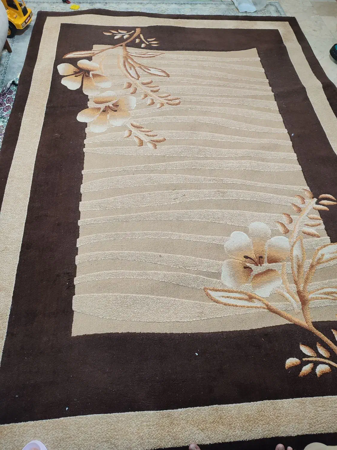 دو عدد گلیم ۹ و ۷ متری|گلیم، جاجیم، گبه|یزد, |دیوار