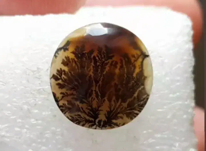 سنگ شجر قائن پرتغالی|جواهرات|زنجان, |دیوار