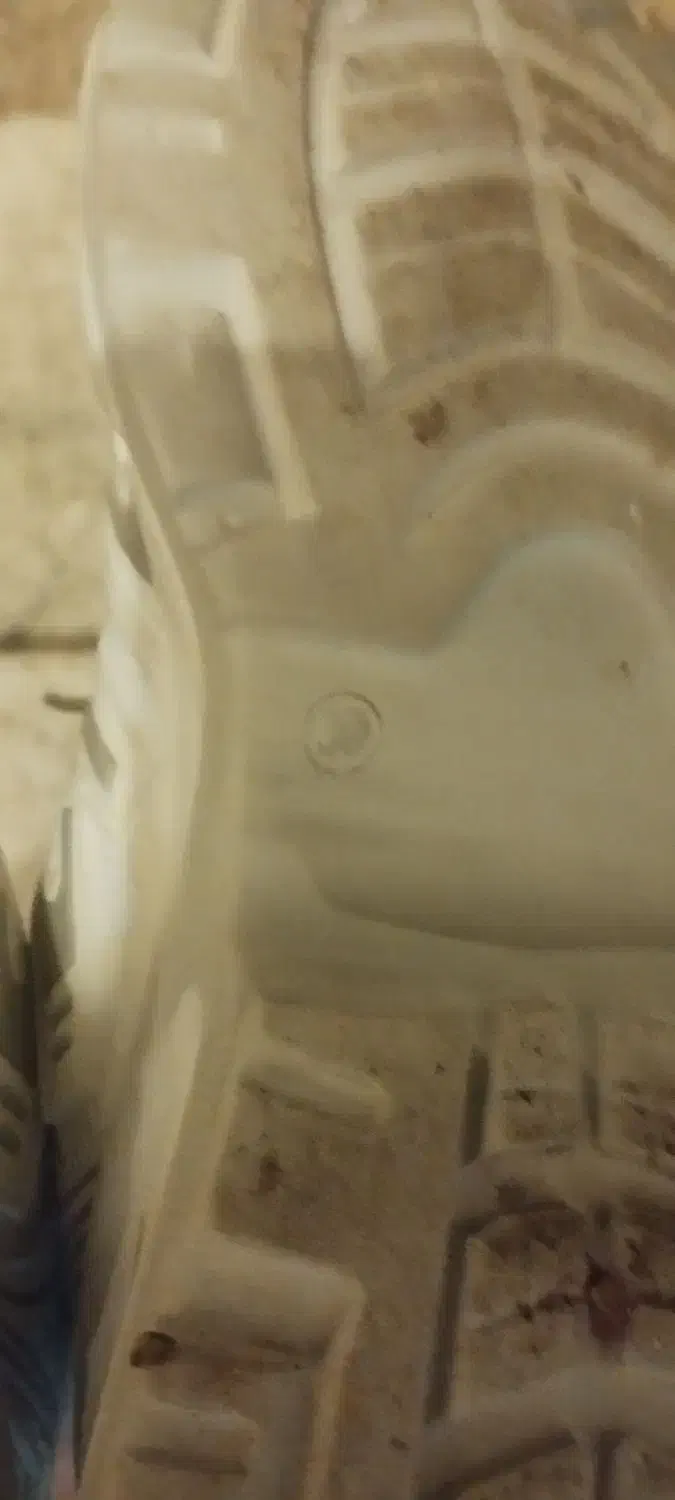 کفش اسپرت نو قیمت مناسب سایز37|کیف، کفش، کمربند|کرمان, |دیوار