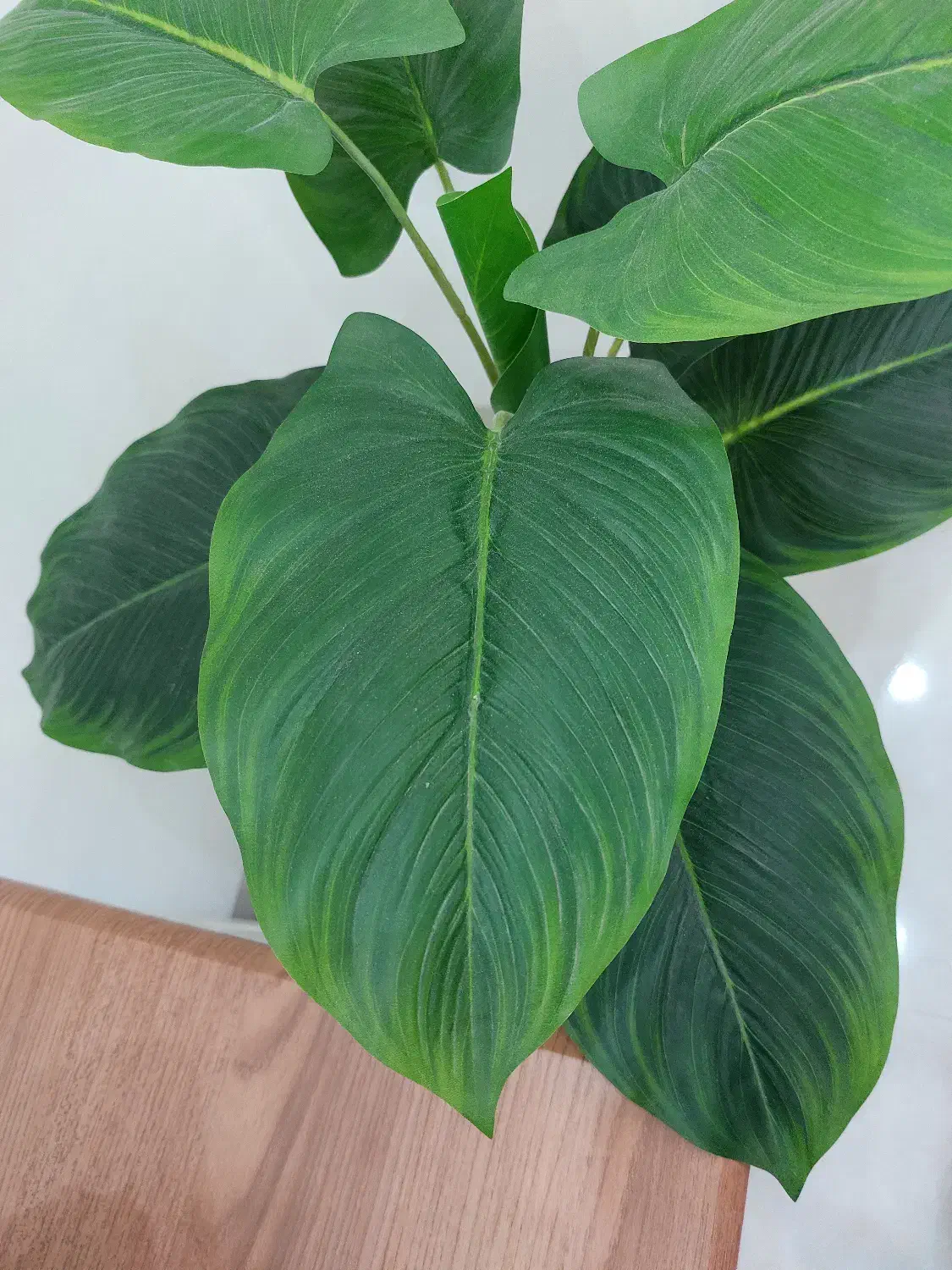 درختچه مصنوعی باگلدان|گل مصنوعی|بوشهر, |دیوار