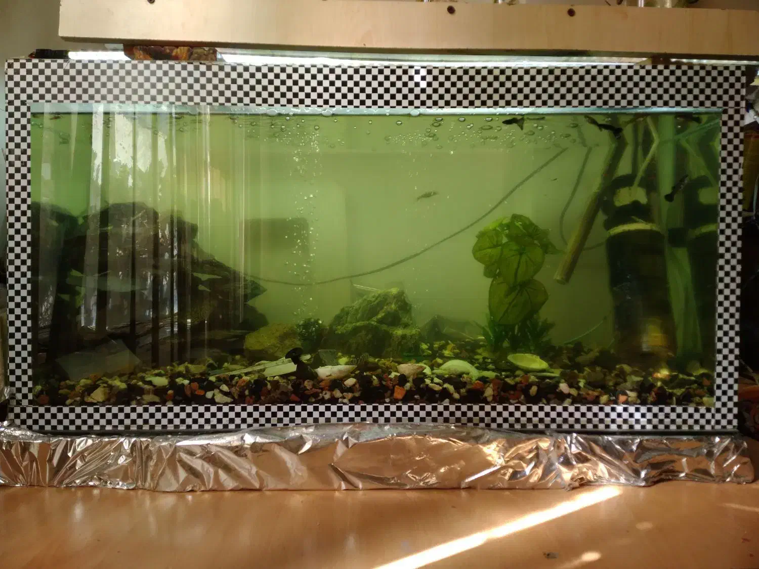 آکواریوم|ماهی|بروجرد, |دیوار