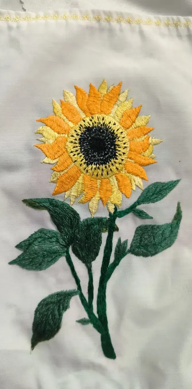 گلدوزی حرفهای|لباس|لار, |دیوار