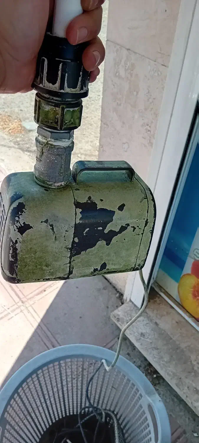 وان ماهی|ماهی|تالش, تالش|دیوار