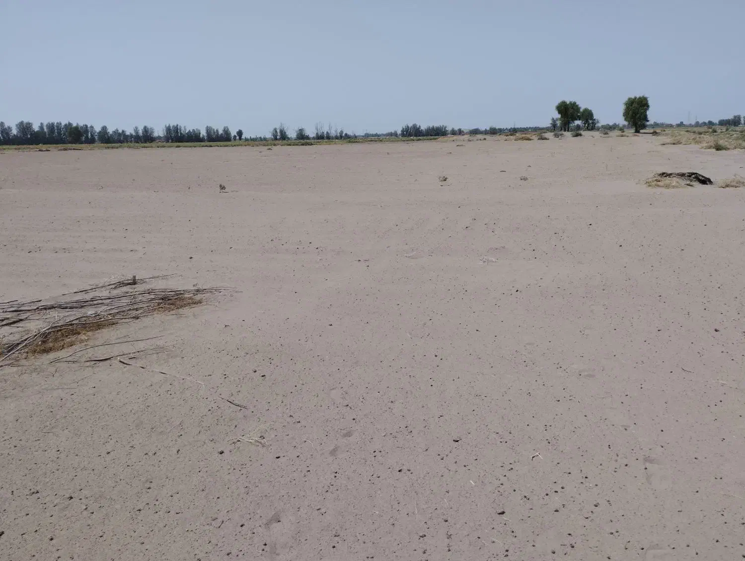 اجاره زمین کشاورزی|فروش دفتر صنعتی، کشاورزی، تجاری|جیرفت, |دیوار