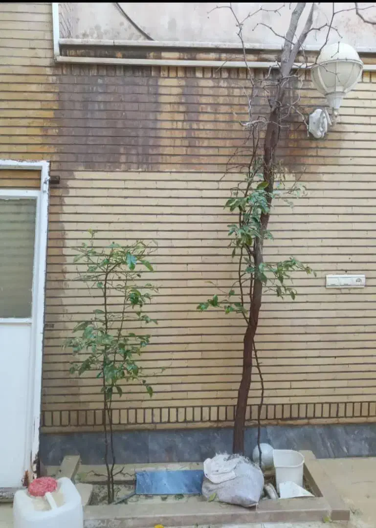 کفسابی سنگسابی کف سابی سنگ سابی شستشوی نما نماشویی|خدمات نظافت|قم, بلوار امین و ساحلی|دیوار