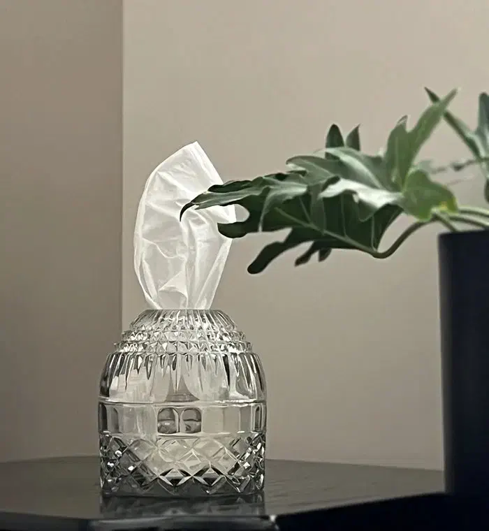 گل و گلدان|حراج|بندرعباس, |دیوار