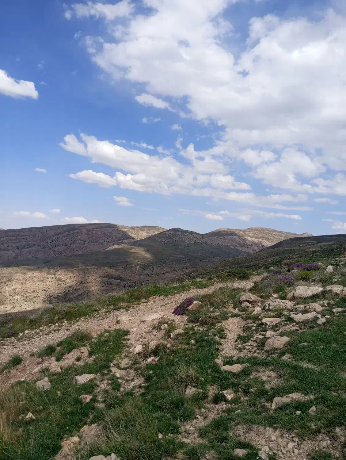 عسل صد درصد طبیعی به شرط|خوردنی و آشامیدنی|طبس, |دیوار