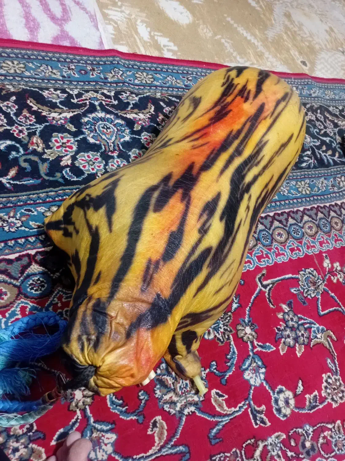 نی انبان|سازهای بادی|دوگنبدان, |دیوار