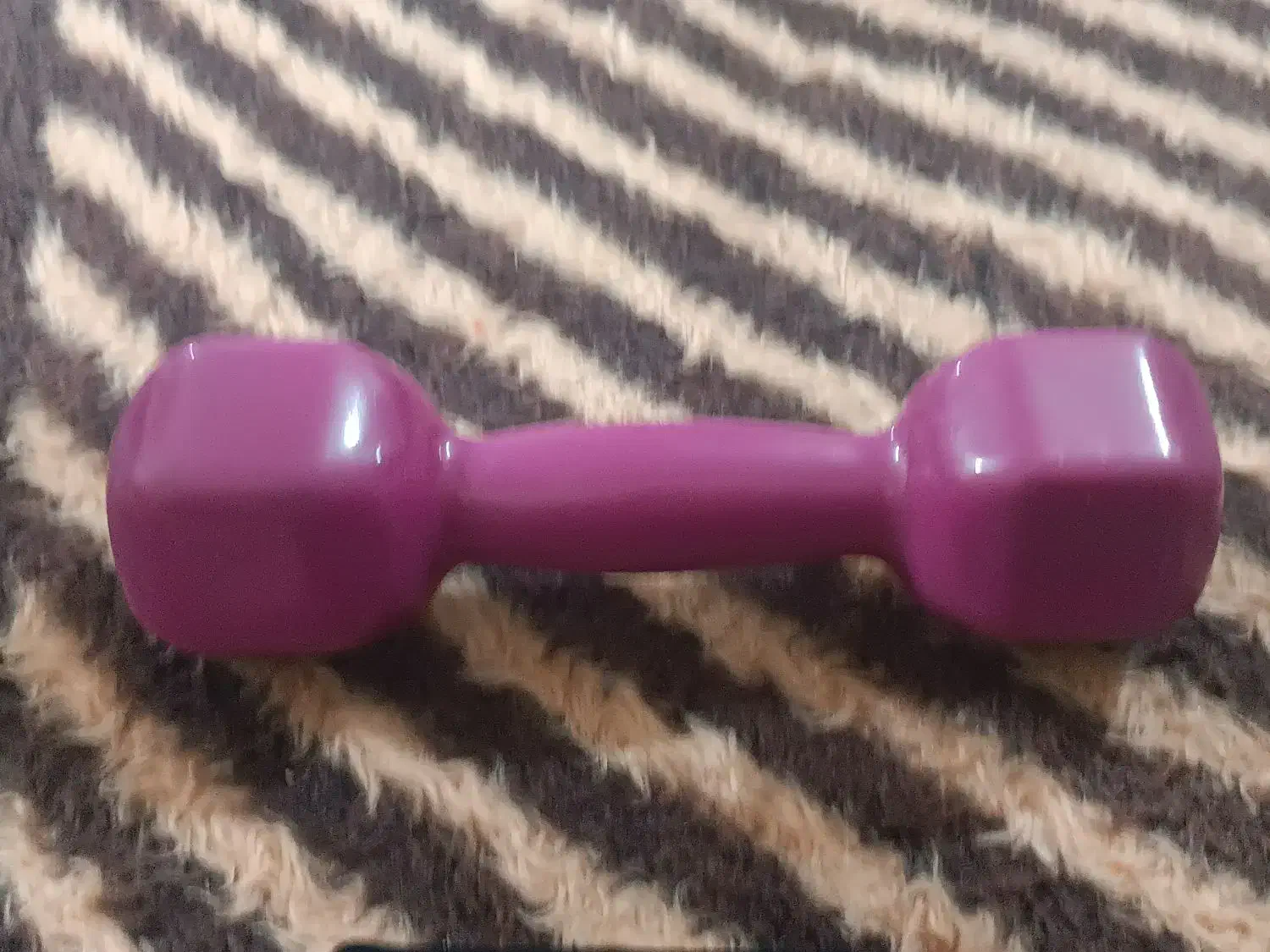 دنبل|تجهیزات ورزشی|بندر ماهشهر, |دیوار