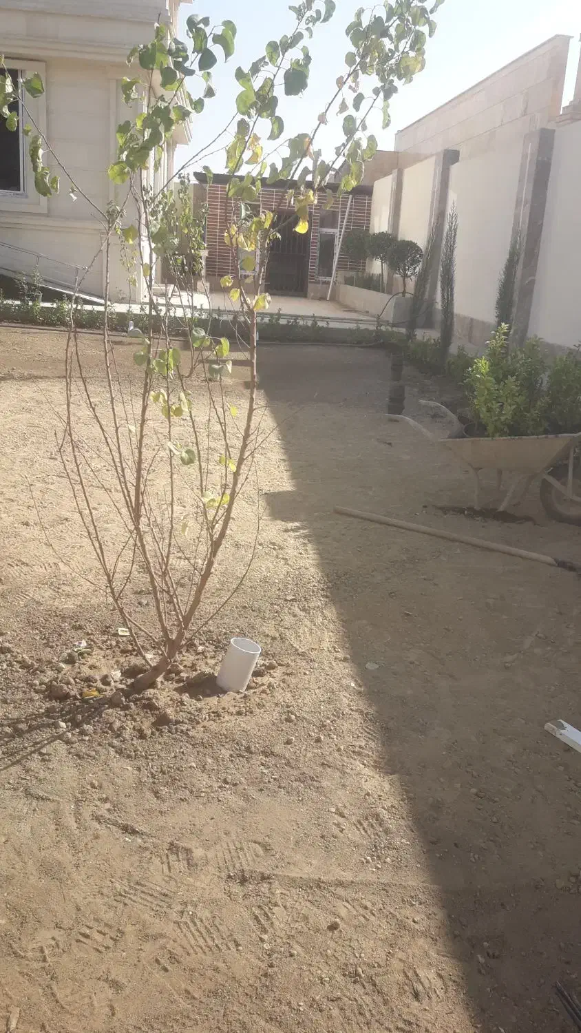 طراحی اجرا|خدمات باغبانی و درختکاری|هشتگرد, هشتگرد قدیم|دیوار