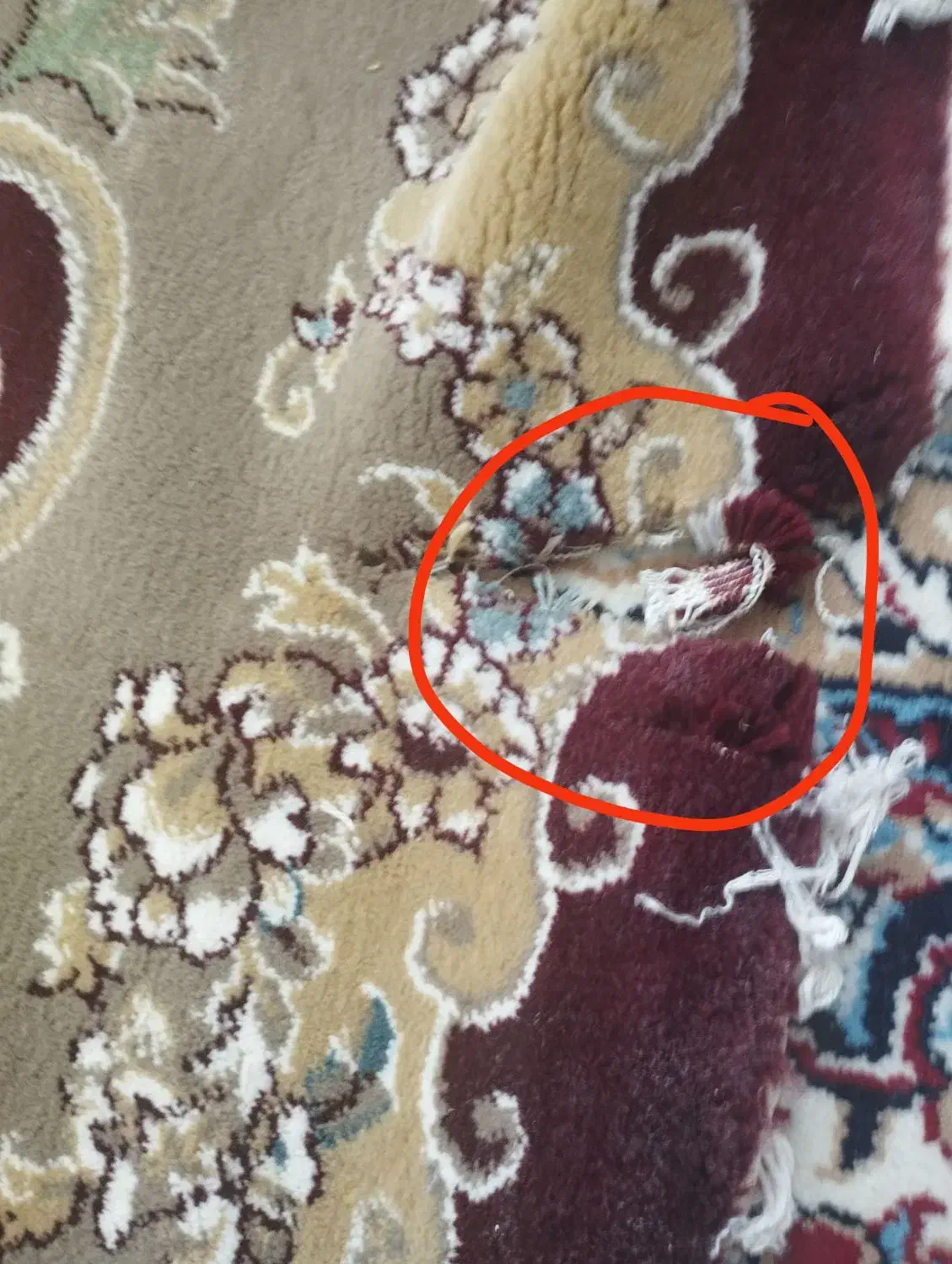 قالی ۱۲متزی|فرش|میبد, |دیوار