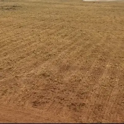 اجاره ۲۶ هکتارزمین بارانی تحت فشار|اجارهٔ دفتر صنعتی، کشاورزی، تجاری|اهواز, اهواز|دیوار