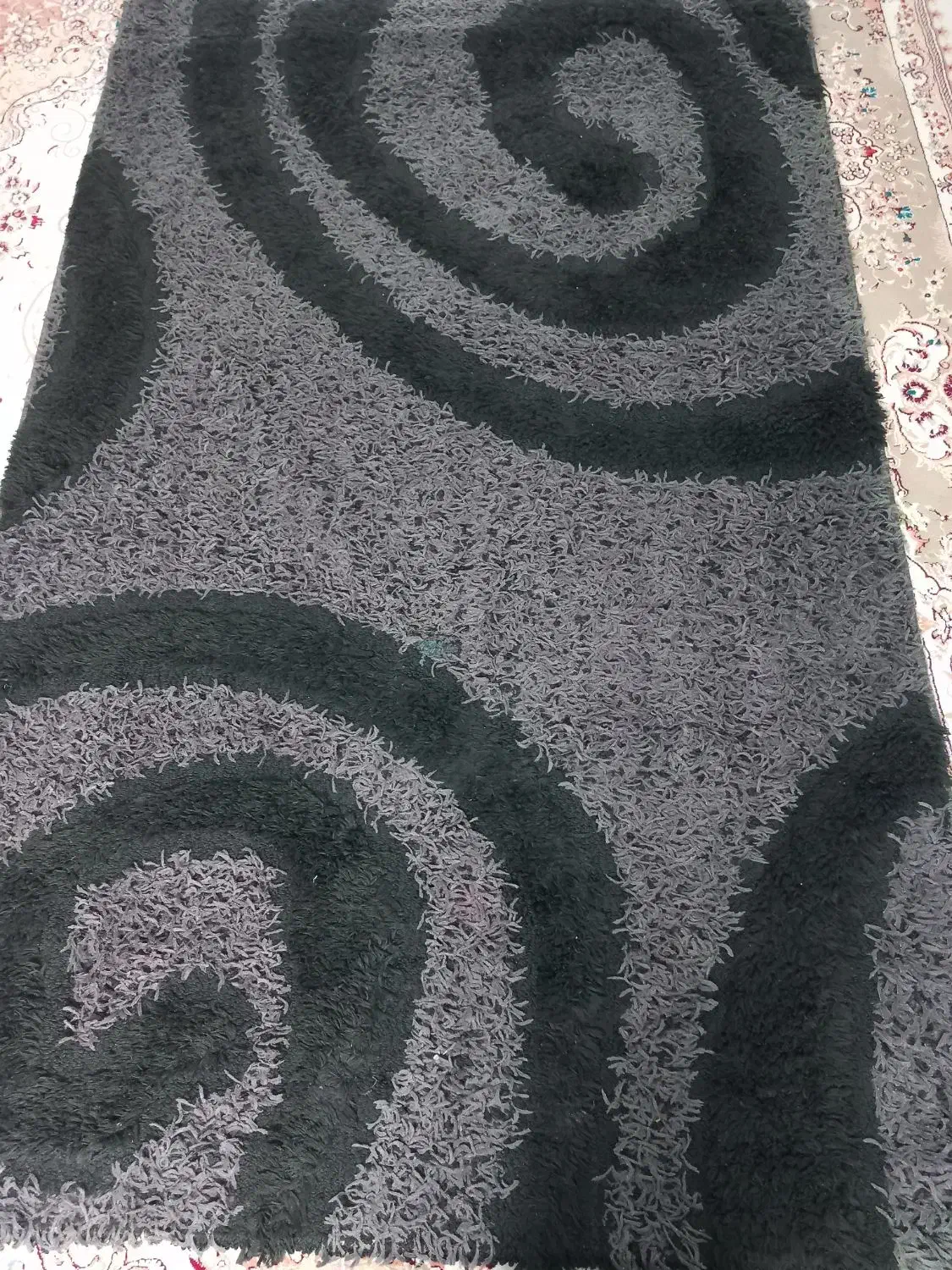 فرش شگی4متری|فرش|گرگان, |دیوار